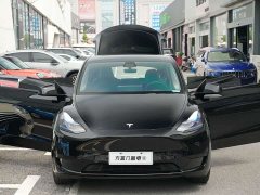 Tesla Model Y Rear-Wheel Drive - ფოტო 6