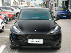 Tesla Model Y Rear-Wheel Drive - ფოტო 7