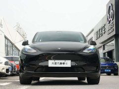 Tesla Model Y Rear-Wheel Drive - ფოტო 8