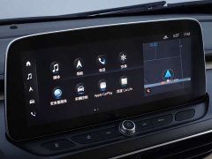 Buick GL8 Land Executive Cabin 652T Luxury - ფოტო 13