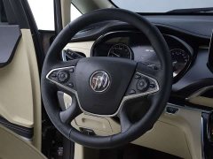 Buick GL8 Land Executive Cabin 652T Luxury - ფოტო 15