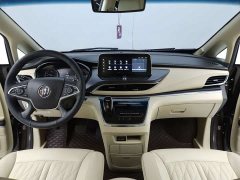 Buick GL8 Land Executive Cabin 652T Luxury - ფოტო 7
