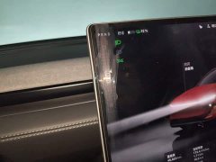Tesla Model Y Rear-Wheel Drive - ფოტო 10