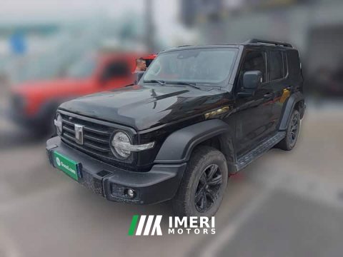 2023 Tank 300 Off-Road Edition 2.0T Challenger - ავტომობილი ჩინეთიდან