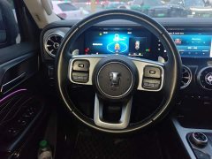 Tank 300 Off-Road Edition 2.0T Challenger - ფოტო 6