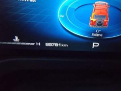 Tank 300 Off-Road Edition 2.0T Challenger - ფოტო 8