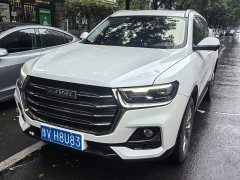 Haval H6 National Trend 1.5T Automatic Champion Edition - ფოტო 1