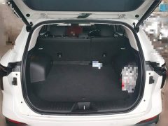 Chery Kunlun 2023 Kunlun 300 Horizon Edition - ფოტო 15