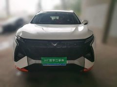 Chery Kunlun 2023 Kunlun 300 Horizon Edition - ფოტო 2