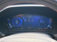 Ford Edge 2020 EcoBoost 245 AWD ST-LINE Longitudinal Enjoyment Edition - ფოტო 17