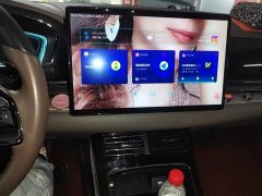 BYD Han 2021 EV Standard Range Luxury - ფოტო 9