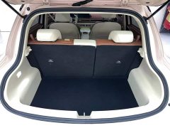 ORA Good Cat 401km Luxury - ფოტო 11