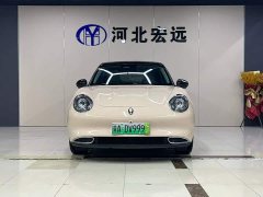 ORA Good Cat 401km Luxury - ფოტო 2