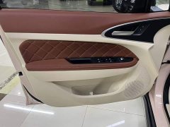 ORA Good Cat 401km Luxury - ფოტო 5