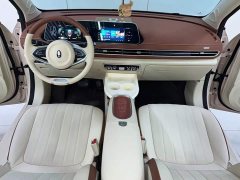 ORA Good Cat 401km Luxury - ფოტო 8