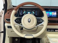 ORA Good Cat 401km Luxury - ფოტო 9