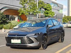 BYD Qin PLUS DM-i Smart Drive Edition 55KM Leading - ფოტო 1