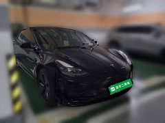 Tesla Model 3 2022 Rear-Wheel Drive - ფოტო 3