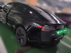 Tesla Model 3 2022 Rear-Wheel Drive - ფოტო 4