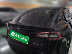 Tesla Model 3 2022 Rear-Wheel Drive - ფოტო 5