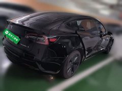 Tesla Model 3 2022 Rear-Wheel Drive - ფოტო 6