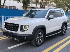 Great Wall Dachshund 2022 1.5T DCT Two-Wheel Drive Labrador Edition - ფოტო 1