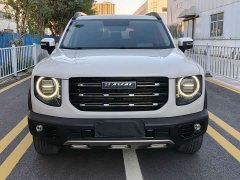 Great Wall Dachshund 2022 1.5T DCT Two-Wheel Drive Labrador Edition - ფოტო 2
