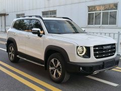 Great Wall Dachshund 2022 1.5T DCT Two-Wheel Drive Labrador Edition - ფოტო 3