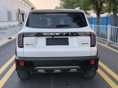 Great Wall Dachshund 2022 1.5T DCT Two-Wheel Drive Labrador Edition - ფოტო 8