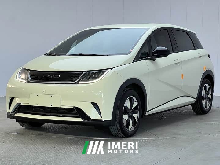 BYD Dolphin 420km Vitality Edition