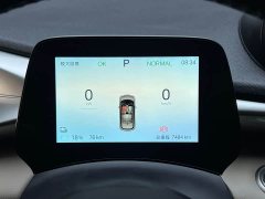 BYD Dolphin 2025 420km Vitality Edition - ფოტო 10