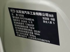 BYD Dolphin 2025 420km Vitality Edition - ფოტო 18