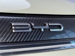 BYD Dolphin 2025 420km Vitality Edition - ფოტო 5
