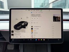 Tesla Model 3 2022 Rear-Wheel Drive - ფოტო 10