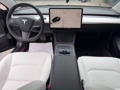 Tesla Model 3 2022 Rear-Wheel Drive - ფოტო 13
