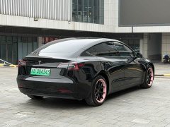 Tesla Model 3 2022 Rear-Wheel Drive - ფოტო 18