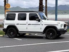 Mercedes-Benz G-Class 2020 G 350 - ფოტო 8