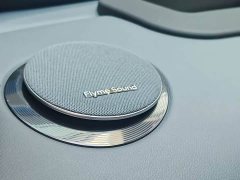 Geely Galaxy Starship 7 135km Starship Edition - ფოტო 13