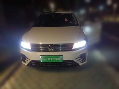 Volkswagen Tiguan L Plug-in Hybrid 2020 430PHEV Plug-in Hybrid Premium Edition - ფოტო 2