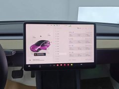 Tesla Model 3 2022 Rear-Wheel Drive - ფოტო 13
