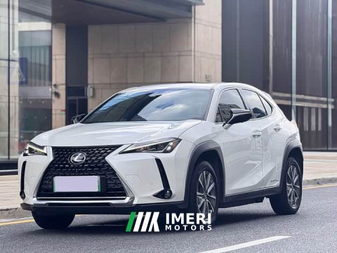 2022 Lexus UX New Energy 2020 300e Pure Joy Edition - ავტომობილი ჩინეთიდან
