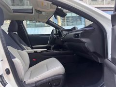 Lexus UX New Energy 2020 300e Pure Joy Edition - ფოტო 17