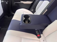 Lexus UX New Energy 2020 300e Pure Joy Edition - ფოტო 20