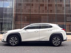 Lexus UX New Energy 2020 300e Pure Joy Edition - ფოტო 3