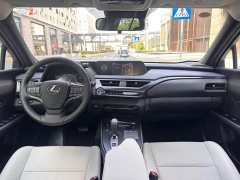 Lexus UX New Energy 2020 300e Pure Joy Edition - ფოტო 9