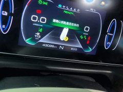 ORA Good Cat 400km Standard Range Athena Edition LFP Battery - ფოტო 8