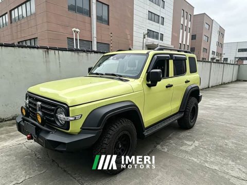 2021 Tank 300 Off-Road Edition 2.0T Conqueror - ავტომობილი ჩინეთიდან