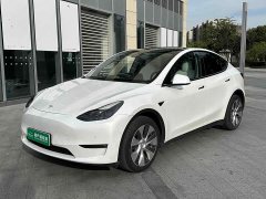 Tesla Model Y Long Range All-Wheel Drive - ფოტო 1