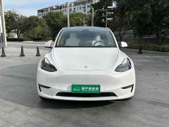 Tesla Model Y Long Range All-Wheel Drive - ფოტო 2