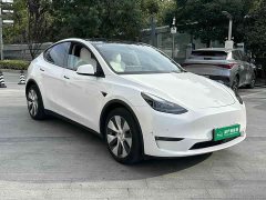 Tesla Model Y Long Range All-Wheel Drive - ფოტო 3
